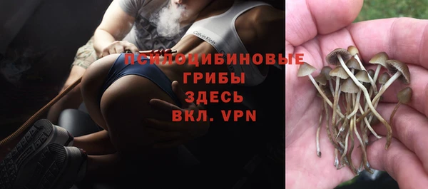 дурь Аркадак