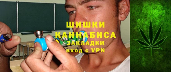 прущие грибы Арсеньев