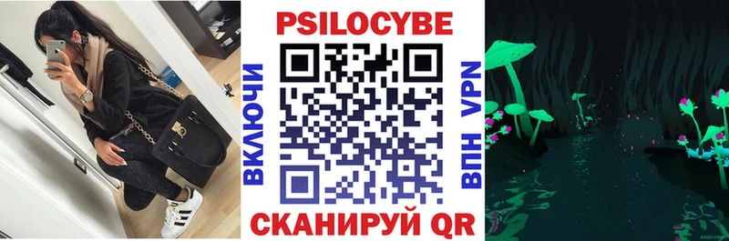 Псилоцибиновые грибы мицелий  Купить закладки  Кушва 